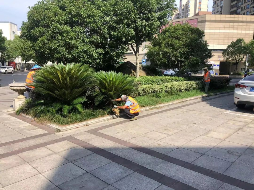 202307061236.jpg 202307061236.jpg