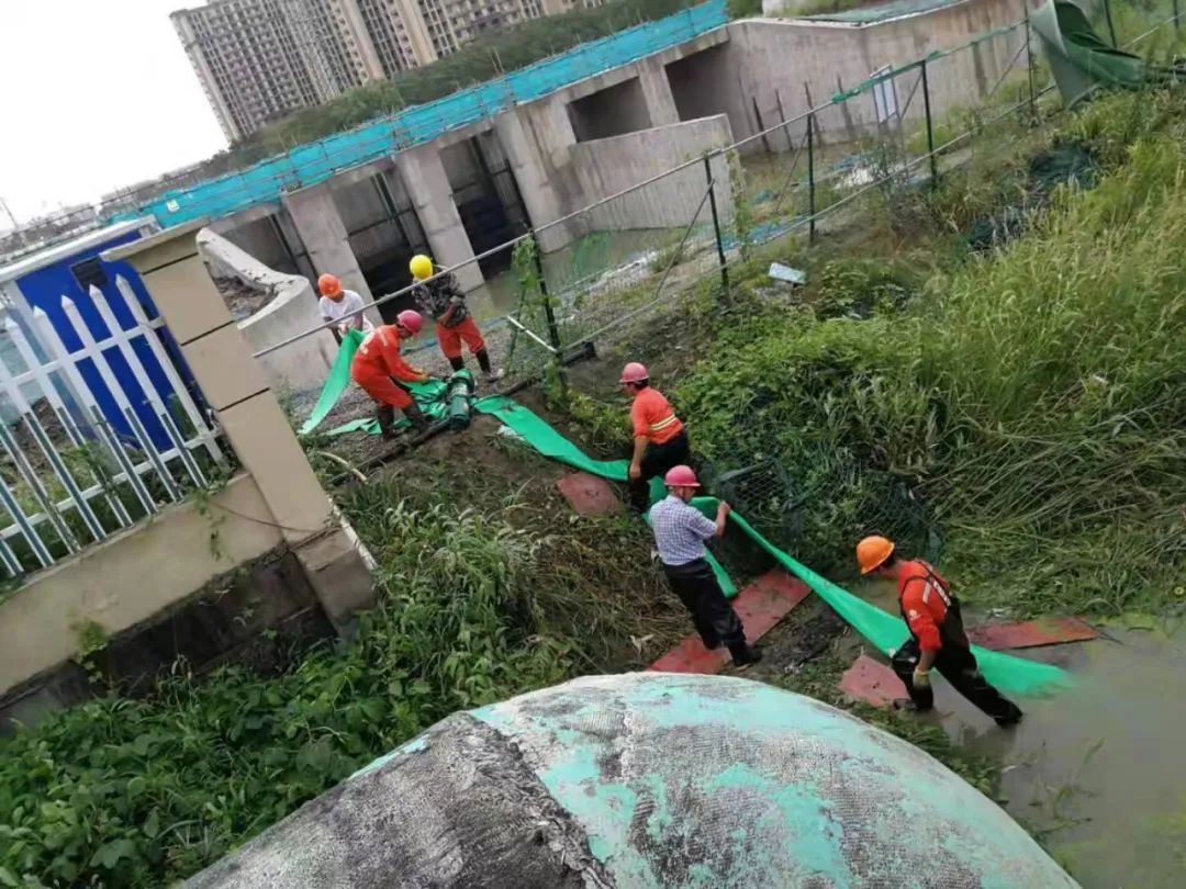 202307071519.jpg 202307071519.jpg