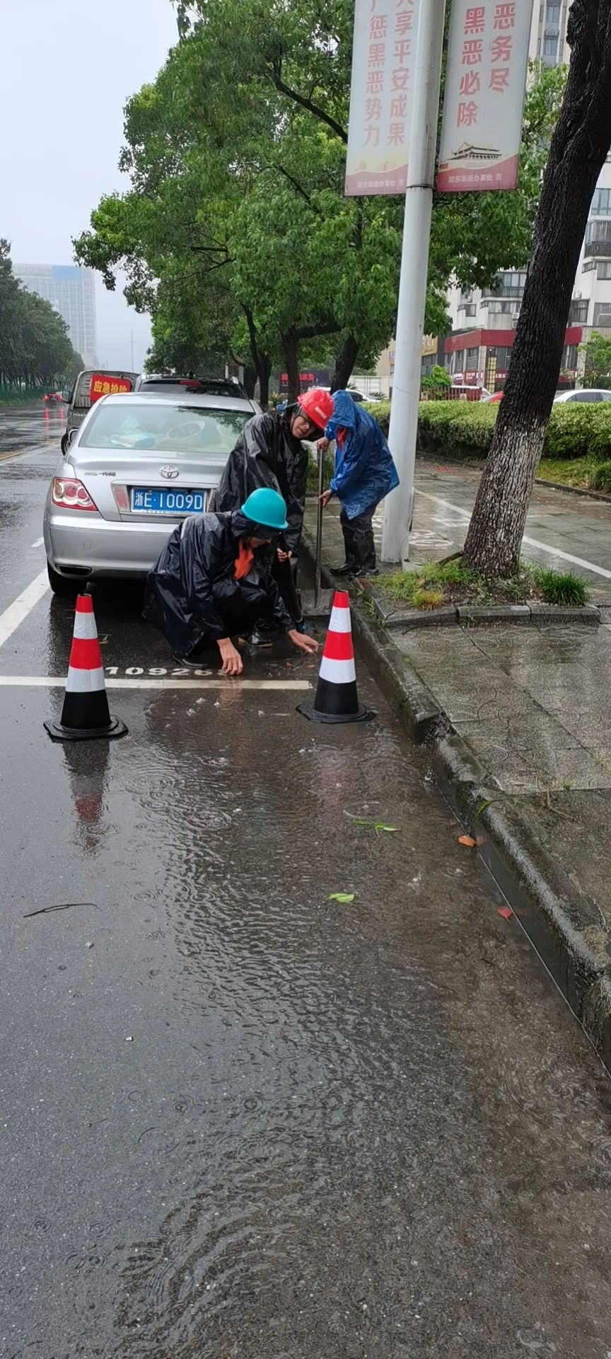 202307071575.jpg 202307071575.jpg