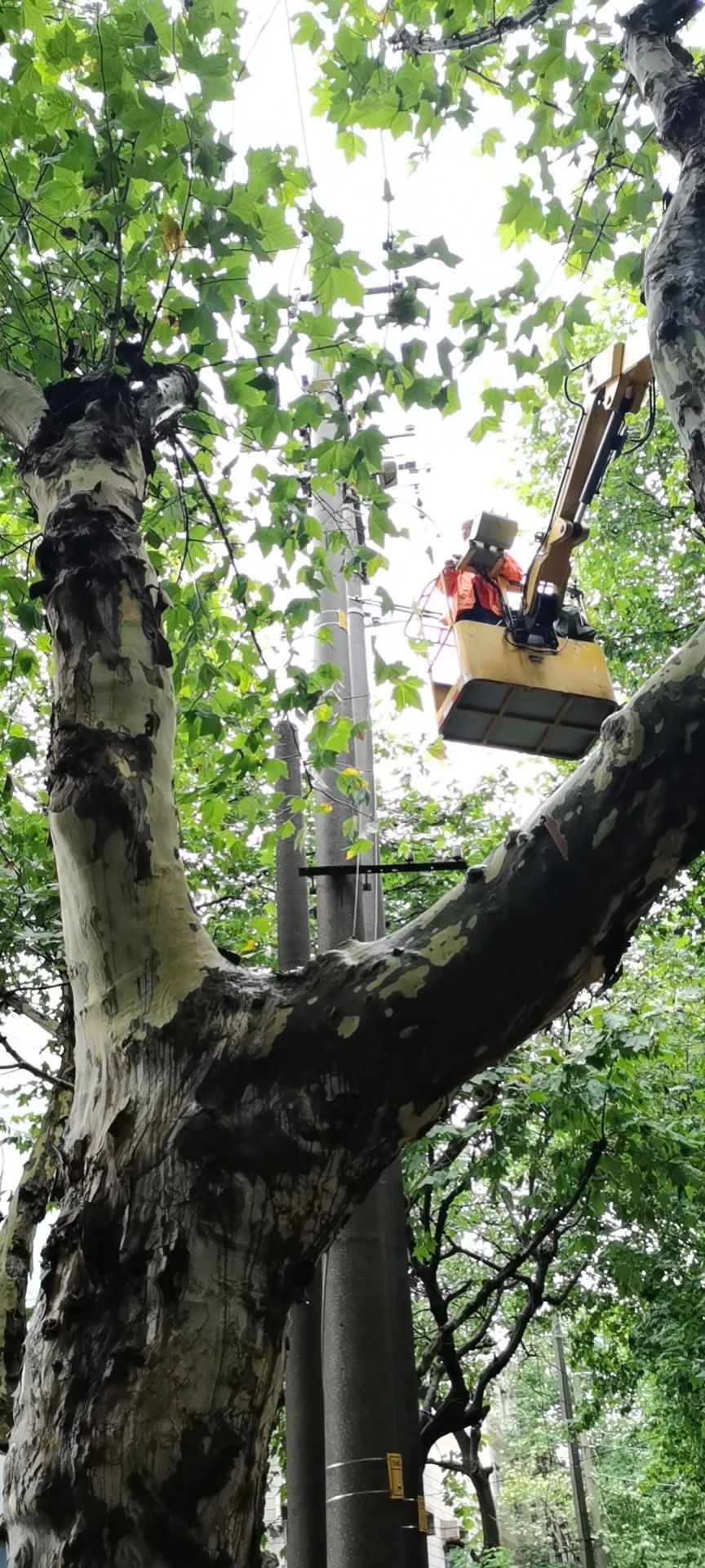 202307079983.jpg 202307079983.jpg